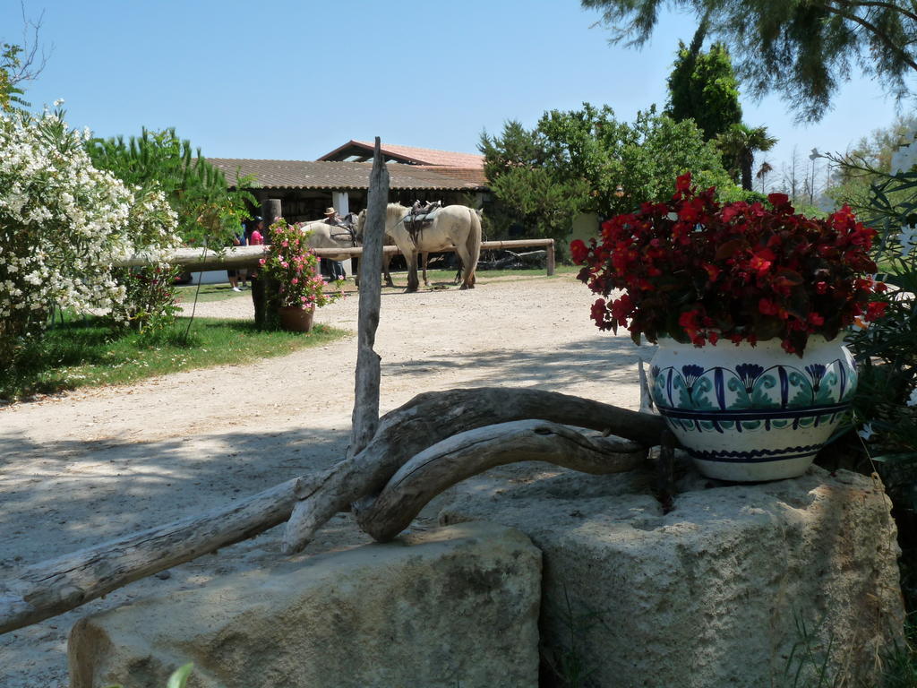 Bergerie D'Alivon En Camargue Panzió Albaron Kültér fotó