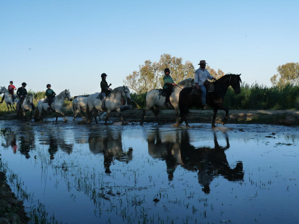 Bergerie D'Alivon En Camargue Panzió Albaron Kültér fotó