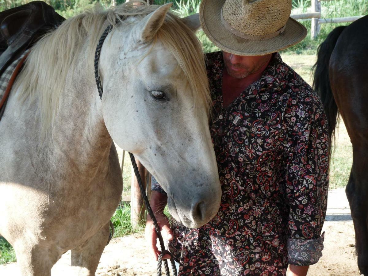 Bergerie D'Alivon En Camargue Panzió Albaron Kültér fotó